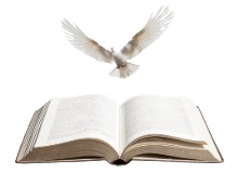 My Bible Verses Logo